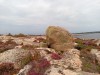 20190815_161920_3.jpg 20190815_161920_3.jpg