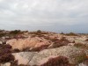 20190815_161921_7.jpg 20190815_161921_7.jpg