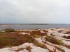 20190815_162454_9.jpg 20190815_162454_9.jpg