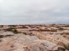 20190815_162923_6.jpg 20190815_162923_6.jpg