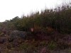 20190815_163746_2.jpg 20190815_163746_2.jpg