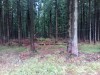 20191004_115723_9.jpg 20191004_115723_9.jpg