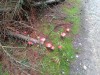 20191004_122343_4.jpg 20191004_122343_4.jpg