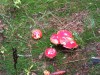 20191004_122343_5.jpg 20191004_122343_5.jpg