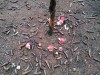 20191004_122343_6.jpg 20191004_122343_6.jpg