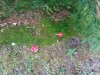 20191004_122343_7.jpg 20191004_122343_7.jpg