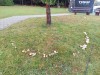 20191004_122343_8.jpg 20191004_122343_8.jpg