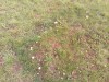 20191004_122343_9.jpg 20191004_122343_9.jpg