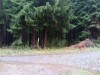 20191005_113130_0.jpg 20191005_113130_0.jpg
