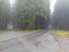 20191005_114906_9.jpg 20191005_114906_9.jpg