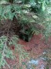 20191005_115448_1.jpg 20191005_115448_1.jpg