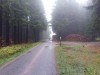 20191005_120302_4.jpg 20191005_120302_4.jpg