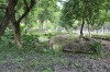 6199.jpg 6199.jpg