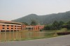 6209.jpg 6209.jpg