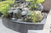 6312.jpg 6312.jpg