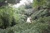 6608.jpg 6608.jpg