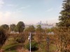 706280.jpg 706280.jpg