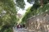 7152.jpg 7152.jpg