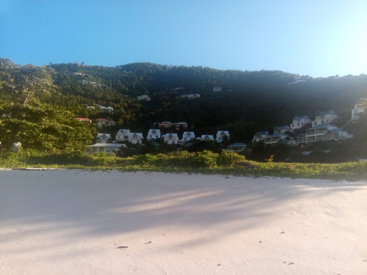 20191126_160826_7.jpg