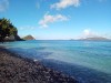 20191126_081449_6.jpg 20191126_081449_6.jpg