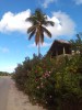 20191126_090732_2.jpg 20191126_090732_2.jpg