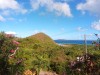 20191126_092010_6.jpg 20191126_092010_6.jpg