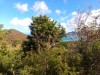 20191126_092646_7.jpg 20191126_092646_7.jpg
