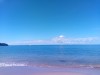 20191129_110755_7.jpg 20191129_110755_7.jpg