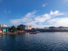20191129_100359_7.jpg 20191129_100359_7.jpg