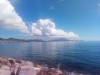 20191129_123829_1.jpg 20191129_123829_1.jpg