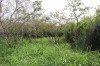 20191130_124006.jpg 20191130_124006.jpg