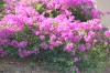 20191130_163622.jpg 20191130_163622.jpg