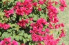 20191130_165210.jpg 20191130_165210.jpg