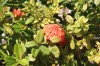 20191130_172700.jpg 20191130_172700.jpg