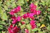 20191130_173440.jpg 20191130_173440.jpg