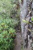 20200204_111010.jpg 20200204_111010.jpg
