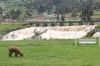 20200205_124304.jpg 20200205_124304.jpg