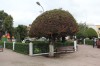 20200207_132318.jpg 20200207_132318.jpg