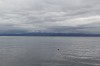 20200207_142836.jpg 20200207_142836.jpg