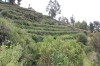 20200207_151800.jpg 20200207_151800.jpg