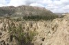 20200209_112536.jpg 20200209_112536.jpg