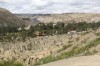 20200209_113220.jpg 20200209_113220.jpg
