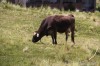 20200206_145400.jpg 20200206_145400.jpg