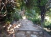 20200711_085816.jpg 20200711_085816.jpg