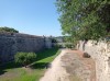 20200711_090008.jpg 20200711_090008.jpg