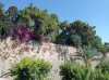 20200711_090409.jpg 20200711_090409.jpg