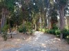 20200711_091355.jpg 20200711_091355.jpg