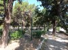 20200711_093925.jpg 20200711_093925.jpg