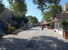 20200711_095229.jpg 20200711_095229.jpg