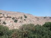 20200712_104659.jpg 20200712_104659.jpg
